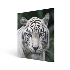 Холст квадратный с принтом Белый тигр в Петрозаводске, 100% ПВХ |  | Тематика изображения на принте: animal | jungle | look | predator | tiger | white | wild | белый | взгляд | джунгли | дикий | животное | тигр | хищник