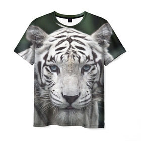 Мужская футболка 3D с принтом Белый тигр в Петрозаводске, 100% полиэфир | прямой крой, круглый вырез горловины, длина до линии бедер | animal | jungle | look | predator | tiger | white | wild | белый | взгляд | джунгли | дикий | животное | тигр | хищник