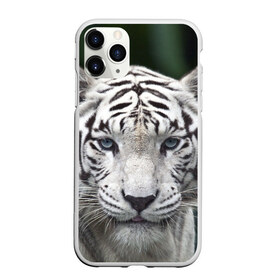 Чехол для iPhone 11 Pro матовый с принтом Белый тигр в Петрозаводске, Силикон |  | animal | jungle | look | predator | tiger | white | wild | белый | взгляд | джунгли | дикий | животное | тигр | хищник