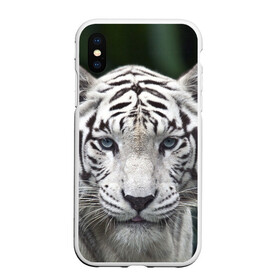 Чехол для iPhone XS Max матовый с принтом Белый тигр в Петрозаводске, Силикон | Область печати: задняя сторона чехла, без боковых панелей | animal | jungle | look | predator | tiger | white | wild | белый | взгляд | джунгли | дикий | животное | тигр | хищник