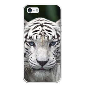 Чехол для iPhone 5/5S матовый с принтом Белый тигр в Петрозаводске, Силикон | Область печати: задняя сторона чехла, без боковых панелей | Тематика изображения на принте: animal | jungle | look | predator | tiger | white | wild | белый | взгляд | джунгли | дикий | животное | тигр | хищник