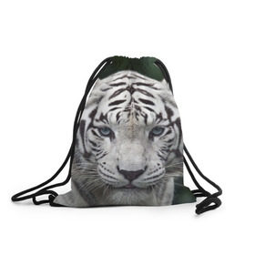 Рюкзак-мешок 3D с принтом Белый тигр в Петрозаводске, 100% полиэстер | плотность ткани — 200 г/м2, размер — 35 х 45 см; лямки — толстые шнурки, застежка на шнуровке, без карманов и подкладки | animal | jungle | look | predator | tiger | white | wild | белый | взгляд | джунгли | дикий | животное | тигр | хищник