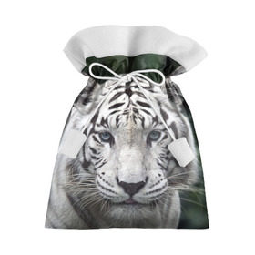 Подарочный 3D мешок с принтом Белый тигр в Петрозаводске, 100% полиэстер | Размер: 29*39 см | animal | jungle | look | predator | tiger | white | wild | белый | взгляд | джунгли | дикий | животное | тигр | хищник