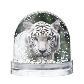 Снежный шар с принтом Белый тигр в Петрозаводске, Пластик | Изображение внутри шара печатается на глянцевой фотобумаге с двух сторон | animal | jungle | look | predator | tiger | white | wild | белый | взгляд | джунгли | дикий | животное | тигр | хищник