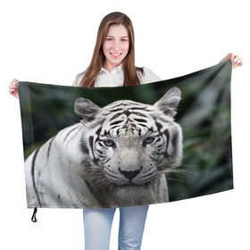 Флаг 3D с принтом Белый тигр в Петрозаводске, 100% полиэстер | плотность ткани — 95 г/м2, размер — 67 х 109 см. Принт наносится с одной стороны | animal | jungle | look | predator | tiger | white | wild | белый | взгляд | джунгли | дикий | животное | тигр | хищник