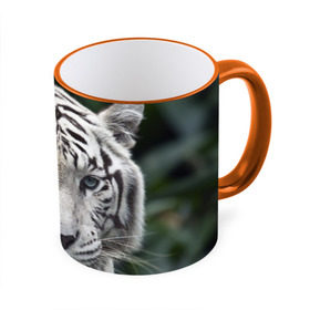 Кружка 3D с принтом Белый тигр в Петрозаводске, керамика | ёмкость 330 мл | animal | jungle | look | predator | tiger | white | wild | белый | взгляд | джунгли | дикий | животное | тигр | хищник