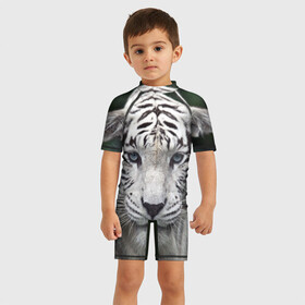 Детский купальный костюм 3D с принтом Белый тигр в Петрозаводске, Полиэстер 85%, Спандекс 15% | застежка на молнии на спине | animal | jungle | look | predator | tiger | white | wild | белый | взгляд | джунгли | дикий | животное | тигр | хищник