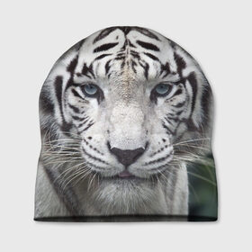 Шапка 3D с принтом Белый тигр в Петрозаводске, 100% полиэстер | универсальный размер, печать по всей поверхности изделия | Тематика изображения на принте: animal | jungle | look | predator | tiger | white | wild | белый | взгляд | джунгли | дикий | животное | тигр | хищник