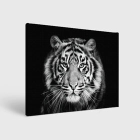 Холст прямоугольный с принтом Тигр в Петрозаводске, 100% ПВХ |  | animal | black   white | look | predator | tiger | wild | взгляд | дикий | животное | тигр | хищник | черно   белый