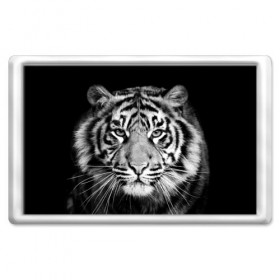 Магнит 45*70 с принтом Тигр в Петрозаводске, Пластик | Размер: 78*52 мм; Размер печати: 70*45 | animal | black   white | look | predator | tiger | wild | взгляд | дикий | животное | тигр | хищник | черно   белый
