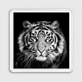Магнит 55*55 с принтом Тигр в Петрозаводске, Пластик | Размер: 65*65 мм; Размер печати: 55*55 мм | Тематика изображения на принте: animal | black   white | look | predator | tiger | wild | взгляд | дикий | животное | тигр | хищник | черно   белый