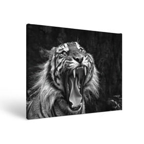 Холст прямоугольный с принтом Тигр в Петрозаводске, 100% ПВХ |  | animal | black   white | fangs | jaws | jungle | predator | teeth | tiger | wild | джунгли | дикий | животное | клыки | оскал | пасть | тигр | хищник | черно   белый