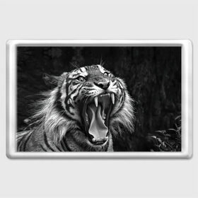 Магнит 45*70 с принтом Тигр в Петрозаводске, Пластик | Размер: 78*52 мм; Размер печати: 70*45 | animal | black   white | fangs | jaws | jungle | predator | teeth | tiger | wild | джунгли | дикий | животное | клыки | оскал | пасть | тигр | хищник | черно   белый