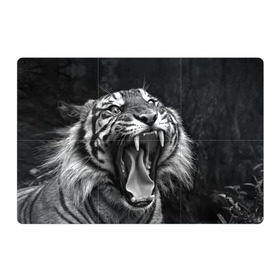 Магнитный плакат 3Х2 с принтом Тигр в Петрозаводске, Полимерный материал с магнитным слоем | 6 деталей размером 9*9 см | animal | black   white | fangs | jaws | jungle | predator | teeth | tiger | wild | джунгли | дикий | животное | клыки | оскал | пасть | тигр | хищник | черно   белый