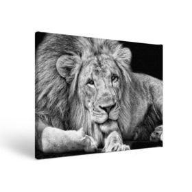 Холст прямоугольный с принтом Лев в Петрозаводске, 100% ПВХ |  | animal | black   white | king | lies | lion | look | predator | wild | взгляд | дикий | животное | зверь | лев | лежит | хищник | царь | черно   белый