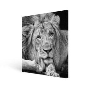 Холст квадратный с принтом Лев в Петрозаводске, 100% ПВХ |  | animal | black   white | king | lies | lion | look | predator | wild | взгляд | дикий | животное | зверь | лев | лежит | хищник | царь | черно   белый