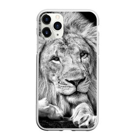 Чехол для iPhone 11 Pro матовый с принтом Лев в Петрозаводске, Силикон |  | animal | black   white | king | lies | lion | look | predator | wild | взгляд | дикий | животное | зверь | лев | лежит | хищник | царь | черно   белый
