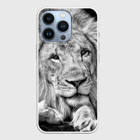 Чехол для iPhone 13 Pro с принтом Лев в Петрозаводске,  |  | animal | black   white | king | lies | lion | look | predator | wild | взгляд | дикий | животное | зверь | лев | лежит | хищник | царь | черно   белый