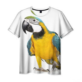 Мужская футболка 3D с принтом Попугай ара в Петрозаводске, 100% полиэфир | прямой крой, круглый вырез горловины, длина до линии бедер | Тематика изображения на принте: желтый | птица | синий | экзотика