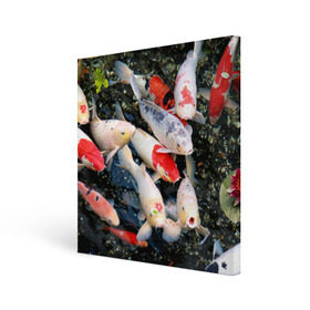 Холст квадратный с принтом Koi Fish (карпы кои) в Петрозаводске, 100% ПВХ |  | bright | brocade | carp | color | decorative | depth | exotic | fish | koi | koi fish | sea | water | вода | глубина | декоративные | карпы | кои | море | парчовый | рыбки | цвет | экзотические | яркий