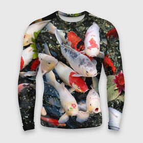 Мужской рашгард 3D с принтом Koi Fish (карпы кои) в Петрозаводске,  |  | bright | brocade | carp | color | decorative | depth | exotic | fish | koi | koi fish | sea | water | вода | глубина | декоративные | карпы | кои | море | парчовый | рыбки | цвет | экзотические | яркий