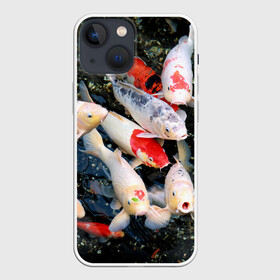 Чехол для iPhone 13 mini с принтом Koi Fish (карпы кои) в Петрозаводске,  |  | Тематика изображения на принте: bright | brocade | carp | color | decorative | depth | exotic | fish | koi | koi fish | sea | water | вода | глубина | декоративные | карпы | кои | море | парчовый | рыбки | цвет | экзотические | яркий