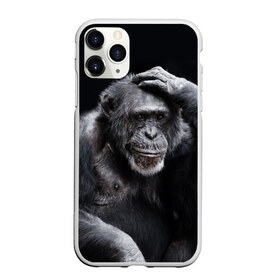 Чехол для iPhone 11 Pro Max матовый с принтом ЕГЭ в Петрозаводске, Силикон |  | егэ | обезьяна | шимпанзе | школа | экзамен | экзамены