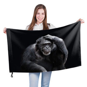 Флаг 3D с принтом ЕГЭ в Петрозаводске, 100% полиэстер | плотность ткани — 95 г/м2, размер — 67 х 109 см. Принт наносится с одной стороны | егэ | обезьяна | шимпанзе | школа | экзамен | экзамены