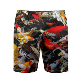 Мужские шорты 3D спортивные с принтом Koi Fish (карпы кои) в Петрозаводске,  |  | bright | brocade | carp | color | decorative | depth | exotic | fish | koi | koi fish | sea | water | вода | глубина | декоративные | карпы | кои | море | парчовый | рыбки | цвет | экзотические | яркий