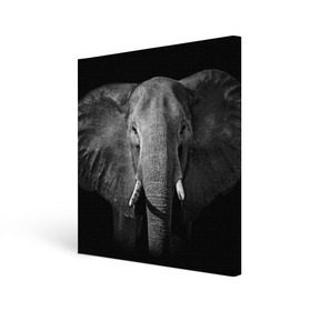 Холст квадратный с принтом Слон в Петрозаводске, 100% ПВХ |  | animal | big | black   white | elephant | wild | большой | дикий | животное | слон | черно   белый
