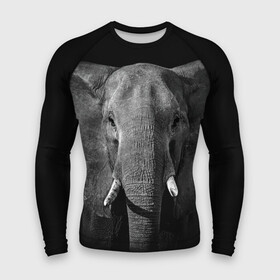 Мужской рашгард 3D с принтом Слон в Петрозаводске,  |  | animal | big | black   white | elephant | wild | большой | дикий | животное | слон | черно   белый