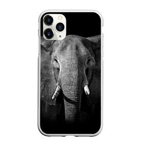 Чехол для iPhone 11 Pro матовый с принтом Слон в Петрозаводске, Силикон |  | animal | big | black   white | elephant | wild | большой | дикий | животное | слон | черно   белый