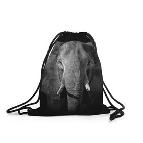 Рюкзак-мешок 3D с принтом Слон в Петрозаводске, 100% полиэстер | плотность ткани — 200 г/м2, размер — 35 х 45 см; лямки — толстые шнурки, застежка на шнуровке, без карманов и подкладки | animal | big | black   white | elephant | wild | большой | дикий | животное | слон | черно   белый