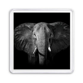 Магнит 55*55 с принтом Слон в Петрозаводске, Пластик | Размер: 65*65 мм; Размер печати: 55*55 мм | animal | big | black   white | elephant | wild | большой | дикий | животное | слон | черно   белый