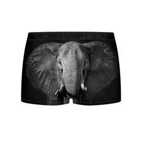 Мужские трусы 3D с принтом Слон в Петрозаводске, 50% хлопок, 50% полиэстер | классическая посадка, на поясе мягкая тканевая резинка | Тематика изображения на принте: animal | big | black   white | elephant | wild | большой | дикий | животное | слон | черно   белый