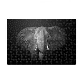 Пазл магнитный 126 элементов с принтом Слон в Петрозаводске, полимерный материал с магнитным слоем | 126 деталей, размер изделия —  180*270 мм | animal | big | black   white | elephant | wild | большой | дикий | животное | слон | черно   белый