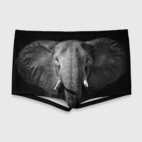 Мужские купальные плавки 3D с принтом Слон в Петрозаводске, Полиэстер 85%, Спандекс 15% |  | Тематика изображения на принте: animal | big | black   white | elephant | wild | большой | дикий | животное | слон | черно   белый