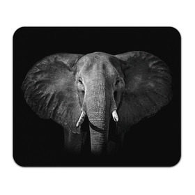 Коврик прямоугольный с принтом Слон в Петрозаводске, натуральный каучук | размер 230 х 185 мм; запечатка лицевой стороны | animal | big | black   white | elephant | wild | большой | дикий | животное | слон | черно   белый