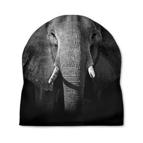 Шапка 3D с принтом Слон в Петрозаводске, 100% полиэстер | универсальный размер, печать по всей поверхности изделия | animal | big | black   white | elephant | wild | большой | дикий | животное | слон | черно   белый