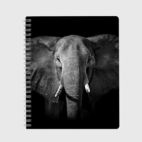 Тетрадь с принтом Слон в Петрозаводске, 100% бумага | 48 листов, плотность листов — 60 г/м2, плотность картонной обложки — 250 г/м2. Листы скреплены сбоку удобной пружинной спиралью. Уголки страниц и обложки скругленные. Цвет линий — светло-серый
 | animal | big | black   white | elephant | wild | большой | дикий | животное | слон | черно   белый