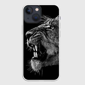 Чехол для iPhone 13 mini с принтом Львица в Петрозаводске,  |  | animal | fangs | head | lion | lioness | predator | teeth | wild | голова | дикая | животное | клыки | лев | львица | оскал | хищник