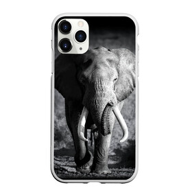 Чехол для iPhone 11 Pro Max матовый с принтом Слон в Петрозаводске, Силикон |  | africa | animal | big | black   white | elephant | go | road | savannah | wild | африка | большой | дикий | дорога | животное | идет | саванна | слон | черно   белый