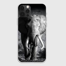 Чехол для iPhone 12 Pro с принтом Слон в Петрозаводске, силикон | область печати: задняя сторона чехла, без боковых панелей | africa | animal | big | black   white | elephant | go | road | savannah | wild | африка | большой | дикий | дорога | животное | идет | саванна | слон | черно   белый