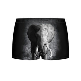 Мужские трусы 3D с принтом Слон в Петрозаводске, 50% хлопок, 50% полиэстер | классическая посадка, на поясе мягкая тканевая резинка | africa | animal | big | black   white | elephant | go | road | savannah | wild | африка | большой | дикий | дорога | животное | идет | саванна | слон | черно   белый