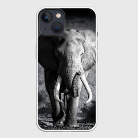 Чехол для iPhone 13 с принтом Слон в Петрозаводске,  |  | Тематика изображения на принте: africa | animal | big | black   white | elephant | go | road | savannah | wild | африка | большой | дикий | дорога | животное | идет | саванна | слон | черно   белый