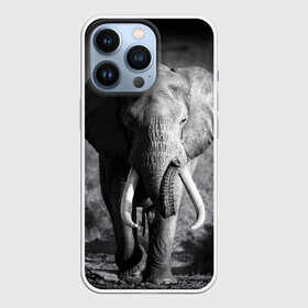Чехол для iPhone 13 Pro с принтом Слон в Петрозаводске,  |  | Тематика изображения на принте: africa | animal | big | black   white | elephant | go | road | savannah | wild | африка | большой | дикий | дорога | животное | идет | саванна | слон | черно   белый