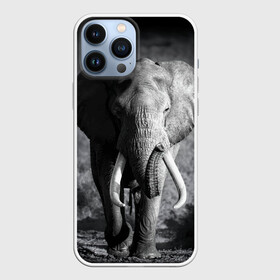 Чехол для iPhone 13 Pro Max с принтом Слон в Петрозаводске,  |  | Тематика изображения на принте: africa | animal | big | black   white | elephant | go | road | savannah | wild | африка | большой | дикий | дорога | животное | идет | саванна | слон | черно   белый
