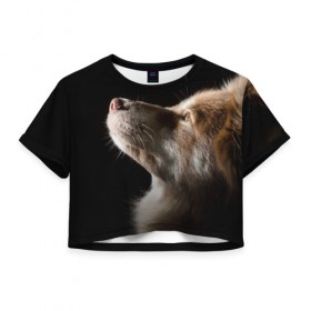 Женская футболка 3D укороченная с принтом Собака в Петрозаводске, 100% полиэстер | круглая горловина, длина футболки до линии талии, рукава с отворотами | 
