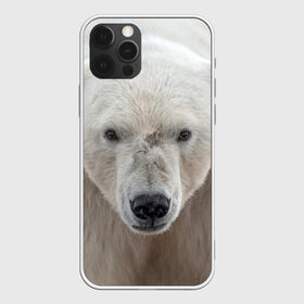 Чехол для iPhone 12 Pro Max с принтом Белый медведь в Петрозаводске, Силикон |  | animal | bear | eyes | head | north | polar | predator | white | wild | белый | взгляд | голова | дикий | животное | медведь | полярный | север | хищник