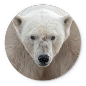 Коврик круглый с принтом Белый медведь в Петрозаводске, резина и полиэстер | круглая форма, изображение наносится на всю лицевую часть | animal | bear | eyes | head | north | polar | predator | white | wild | белый | взгляд | голова | дикий | животное | медведь | полярный | север | хищник